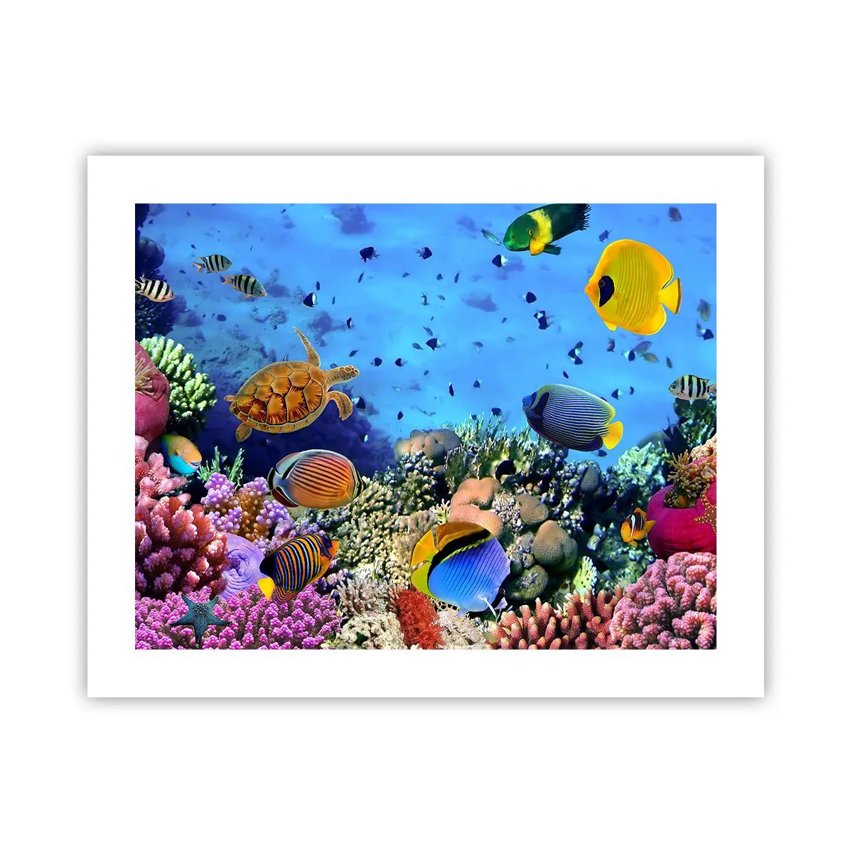 Póster - Y qué sabemos de la vida... - 50x40 cm