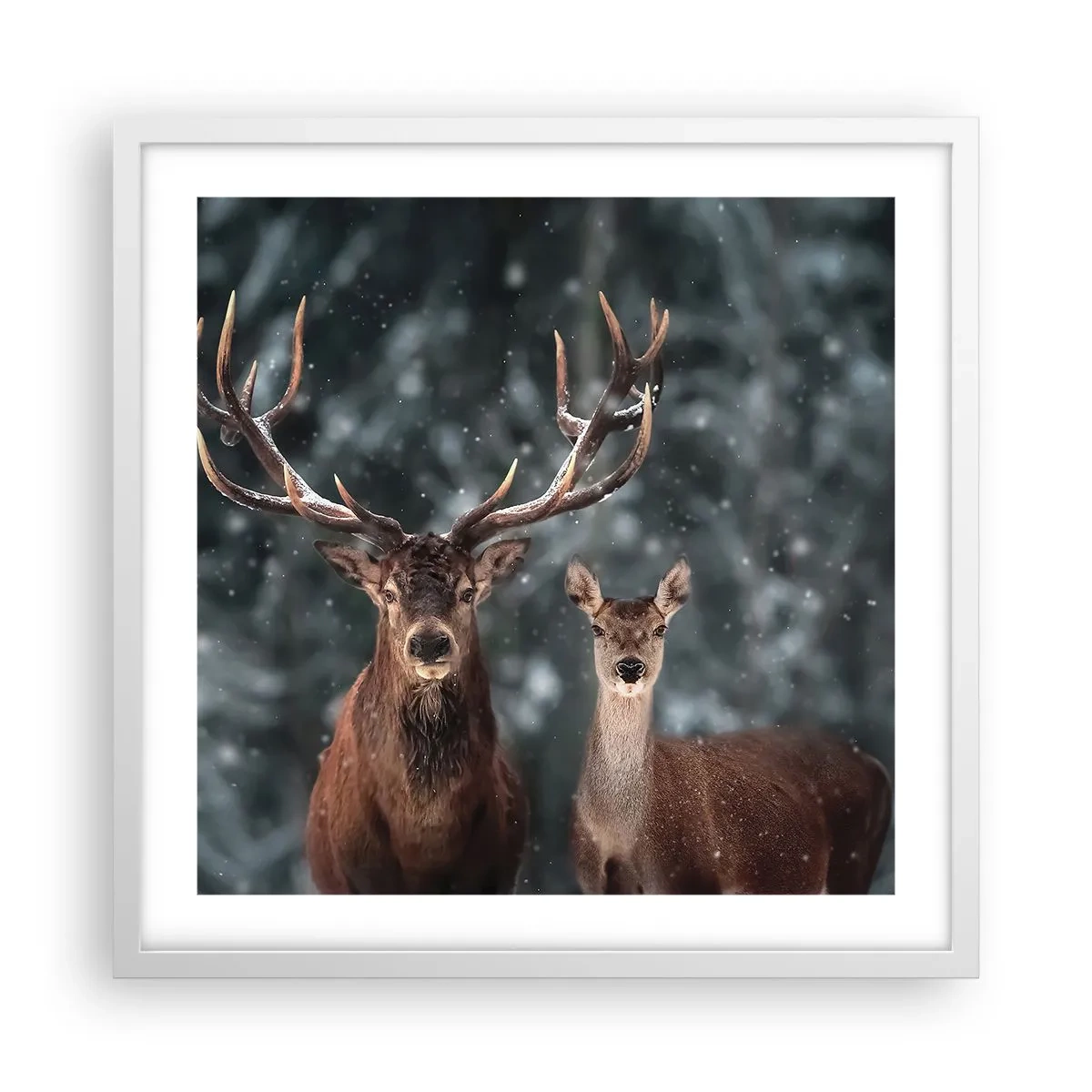 Póster en marco blanco - El señor y la señora del bosque - 50x50 cm