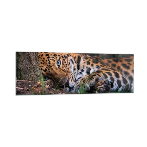Cuadro sobre vidrio - Impresiones sobre Vidrio - Un leopardo tumbado a la sombra de los árboles. - 160x50cm - Confía en mí - Decoración de pared moderna para salón y dormitorio ARTTOR