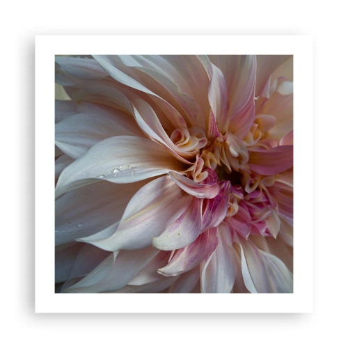 Póster - Frescura floreciente - 50x50 cm