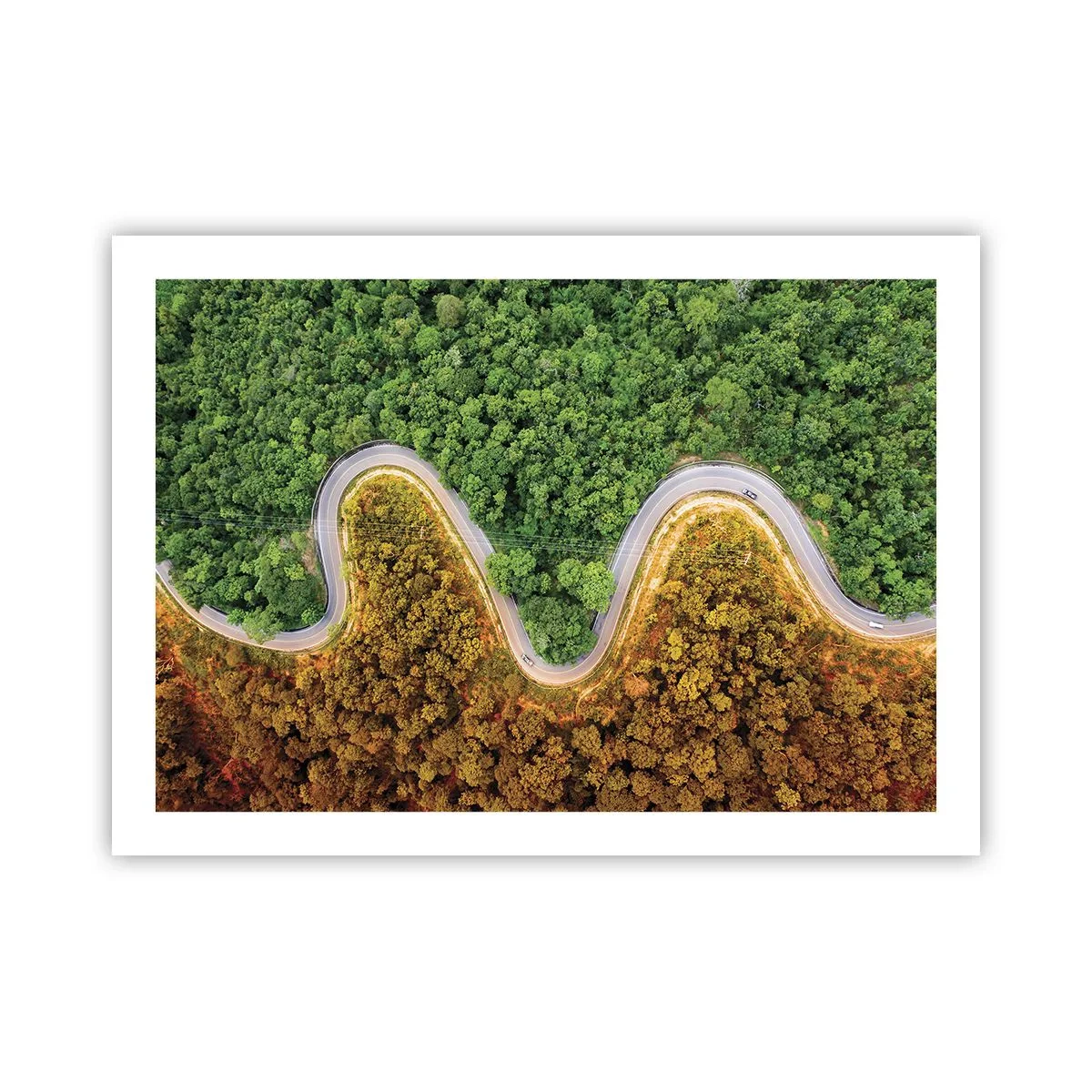 Póster - Frontera serpenteante - 70x50 cm