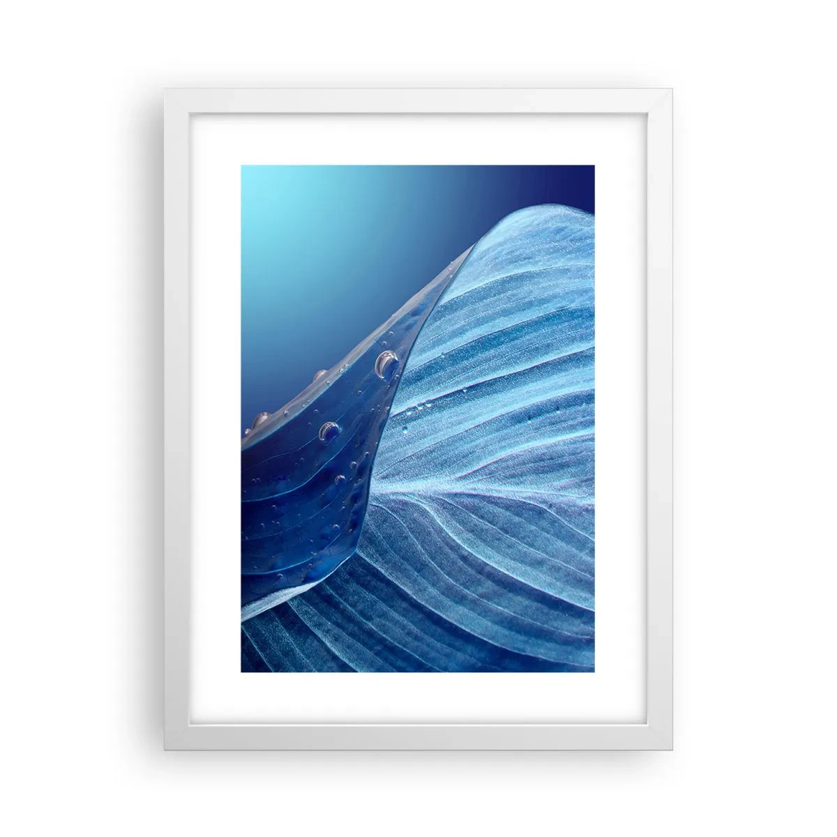 Póster en marco blanco - Gotas ocultas de azul - 30x40 cm