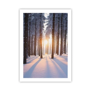 Póster - Bosque invernal con rayos de sol brillando a través de los árboles. - 50x70cm - Claramente en blanco y negro - Decoración de pared moderna para salón y dormitorio ARTTOR