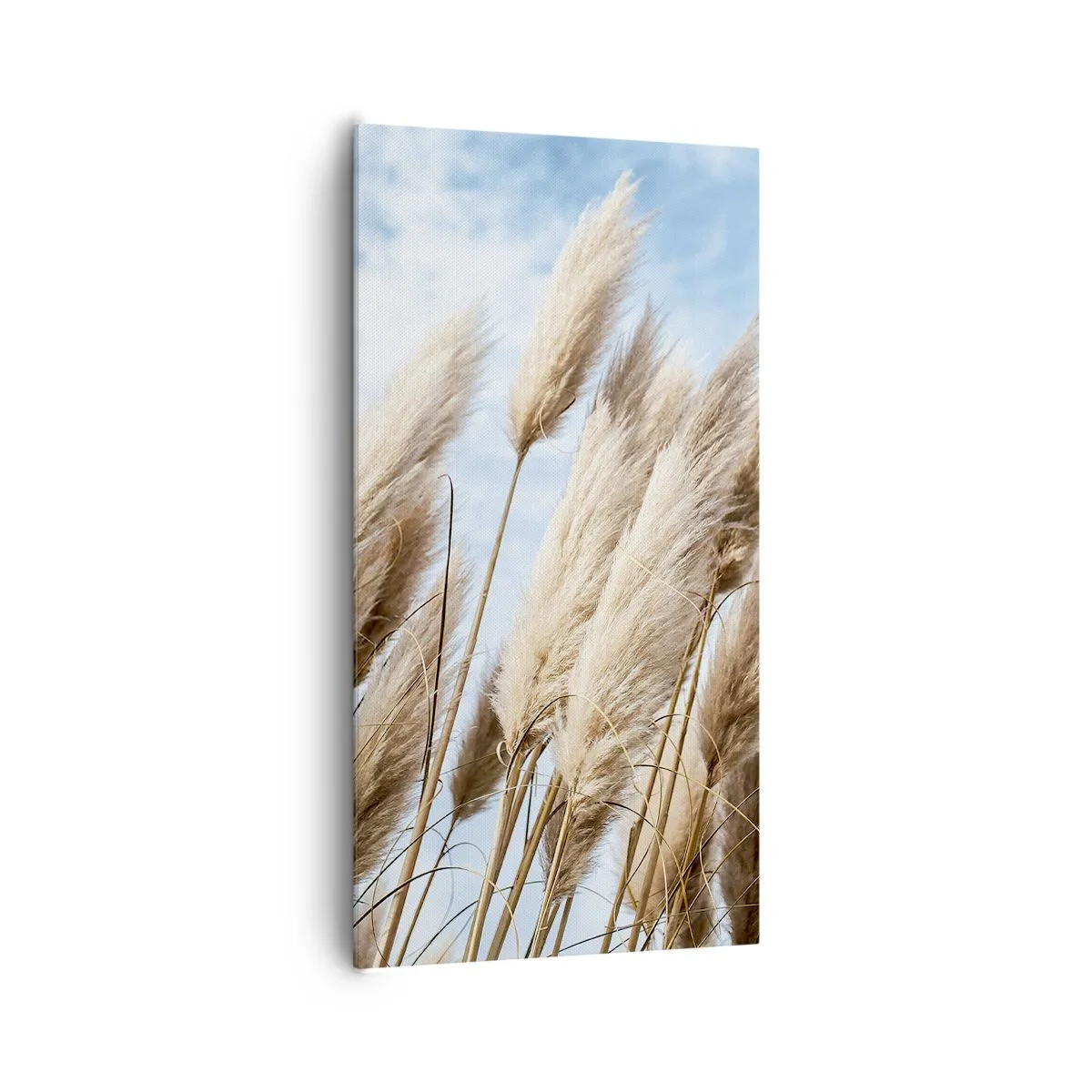 Cuadro sobre lienzo - Impresión de Imagen - Una caricia soleada y ventosa - 65x120 cm