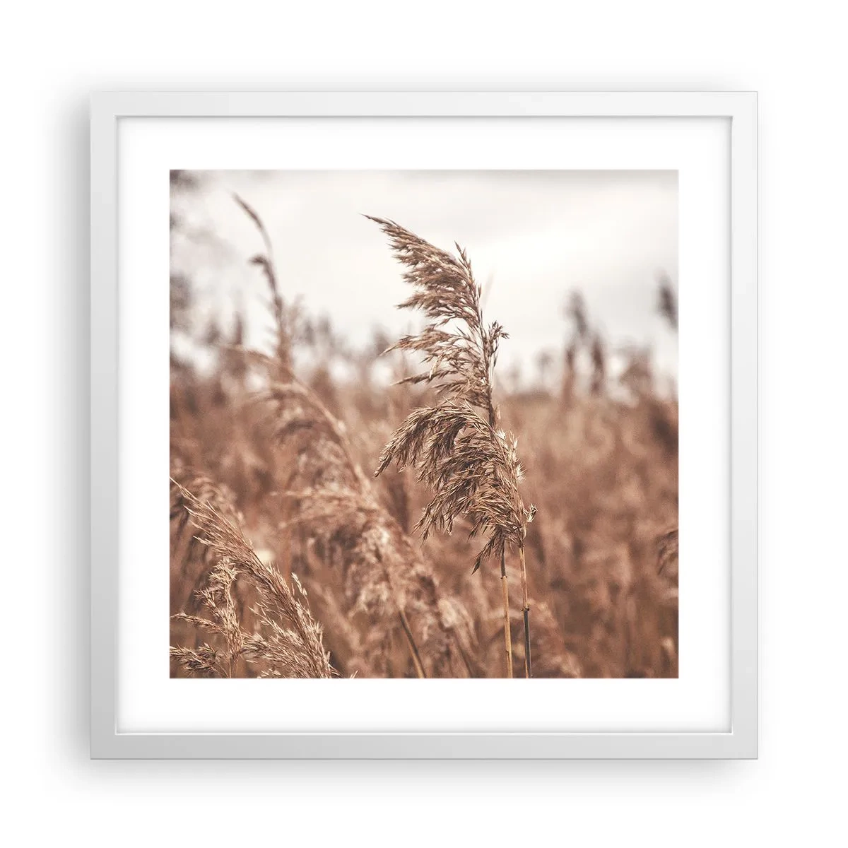 Póster en marco blanco - El otoño ya está en los campos - 40x40 cm