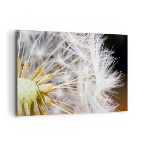Cuadro sobre lienzo - Impresión de Imagen - Fotografía macro de un diente de león con semillas delicadas. - 120x80cm - Justo antes de volar - Decoración de pared moderna para salón y dormitorio ARTTOR