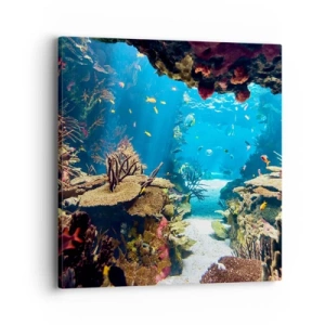 Cuadro sobre lienzo - Impresión de Imagen - Ni siquiera has soñado - 40x40 cm