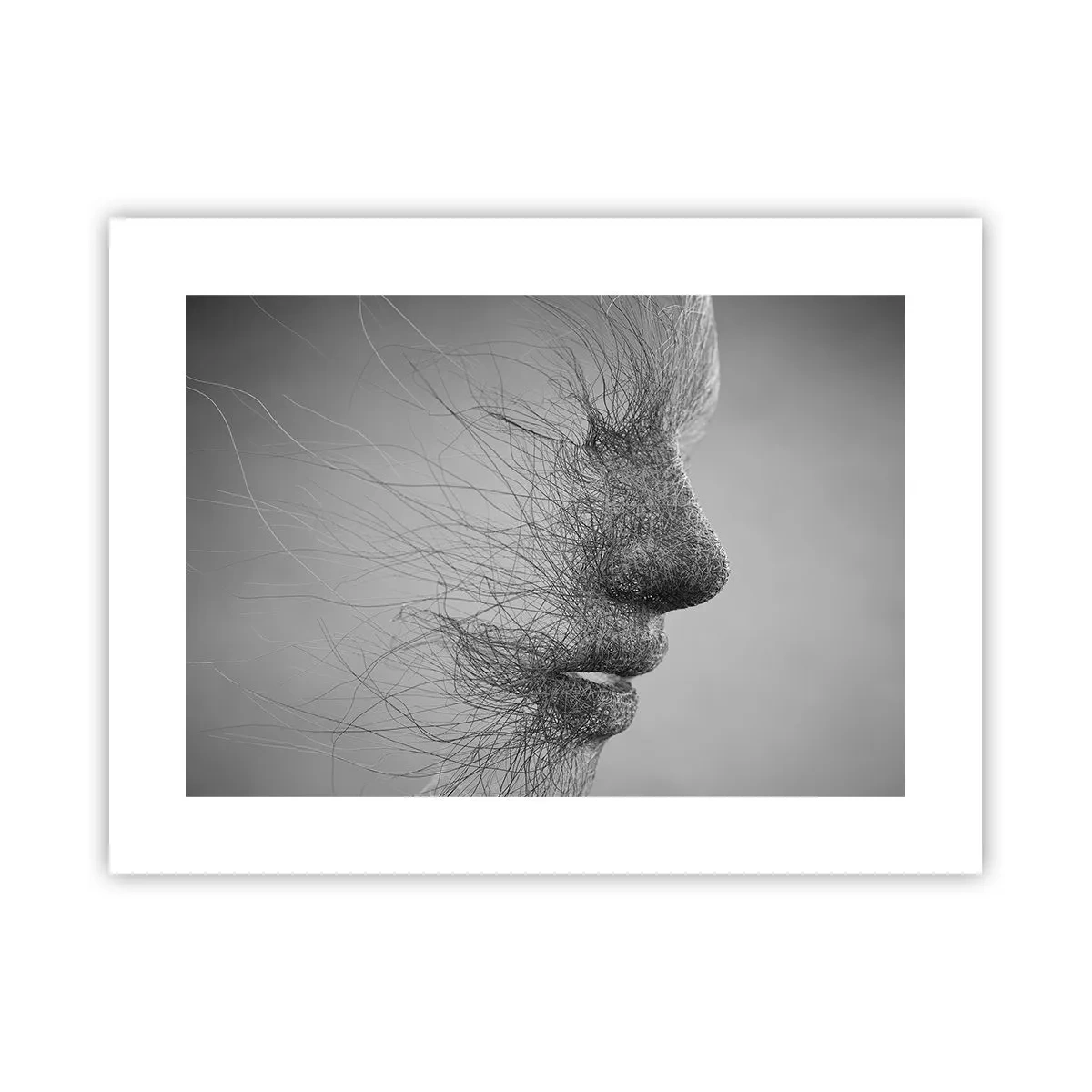 Póster - Espíritu del viento - 40x30 cm