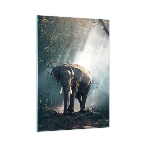 Cuadro sobre vidrio - Impresiones sobre Vidrio - Un elefante caminando por el bosque con la luz del sol filtrándose entre los árboles. - 50x70cm - Un paseo tranquilo - Decoración de pared moderna para salón y dormitorio ARTTOR
