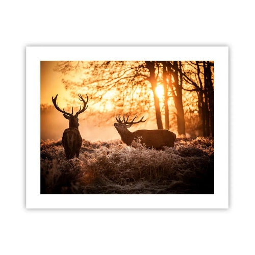 Póster - El sueño de un cazador - 50x40 cm