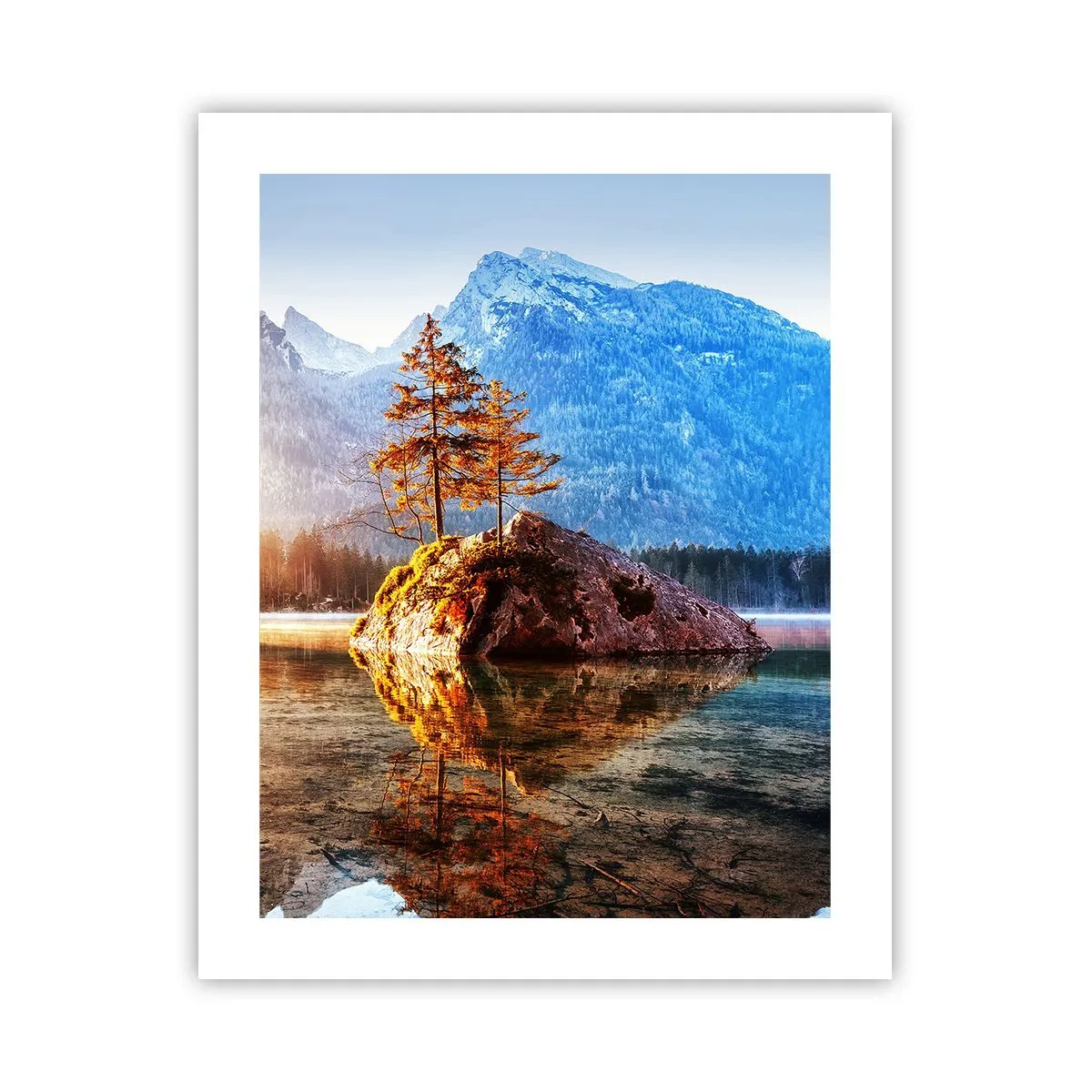 Póster - La naturaleza bajo la luz - 40x50 cm