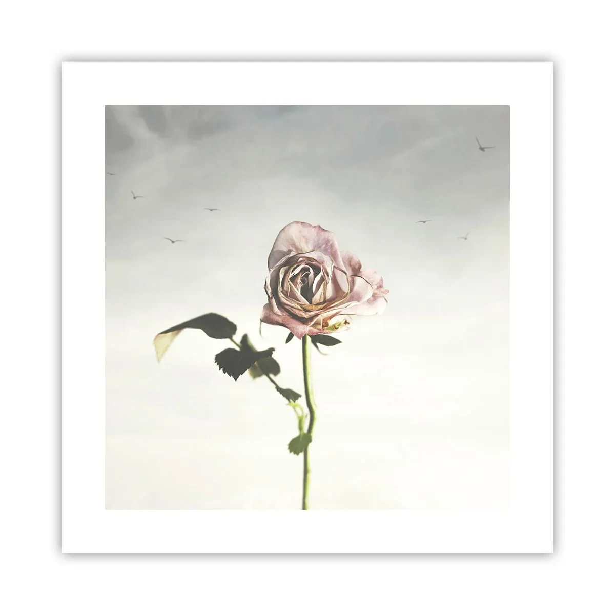 Póster - Bienvenida a la primavera - 40x40 cm