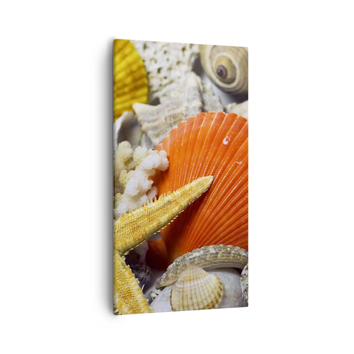 Cuadro sobre lienzo - Impresión de Imagen - Tesoros del océano - 55x100 cm