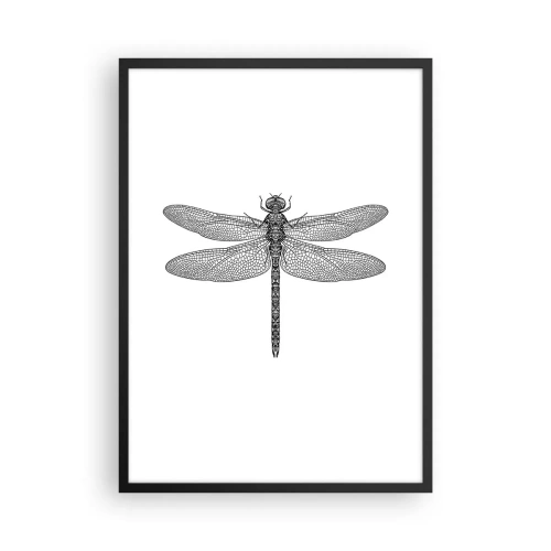 Póster en marco negro - Ilustración en blanco y negro de una libélula sobre un fondo blanco. - 50x70cm - Precisión de la naturaleza - Decoración de pared moderna para salón y dormitorio ARTTOR