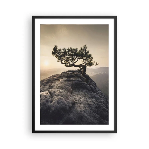 Póster en marco negro - Un árbol solitario en un pico rocoso a la luz del sol poniente. - 50x70cm - La vida se abre camino - Decoración de pared moderna para salón y dormitorio ARTTOR