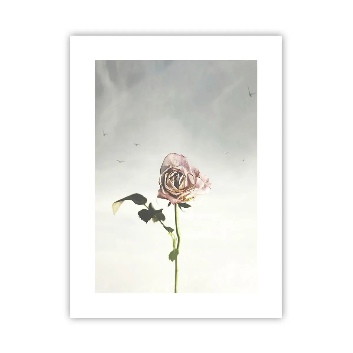 Póster - Bienvenida a la primavera - 30x40 cm