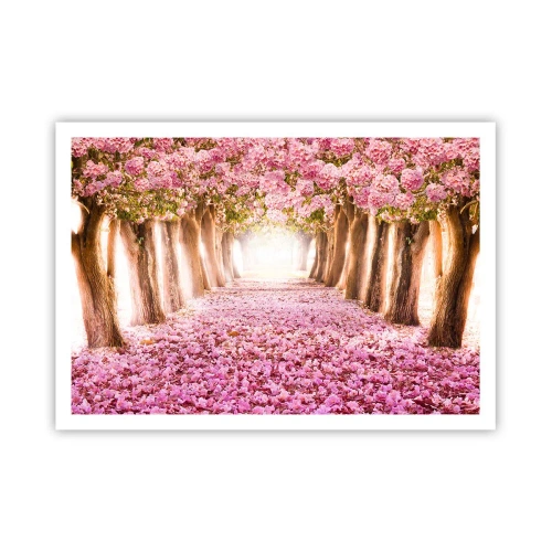 Póster - Una avenida de árboles en flor en tonos rosa. - 100x70cm - El camino al paraíso - Decoración de pared moderna para salón y dormitorio ARTTOR