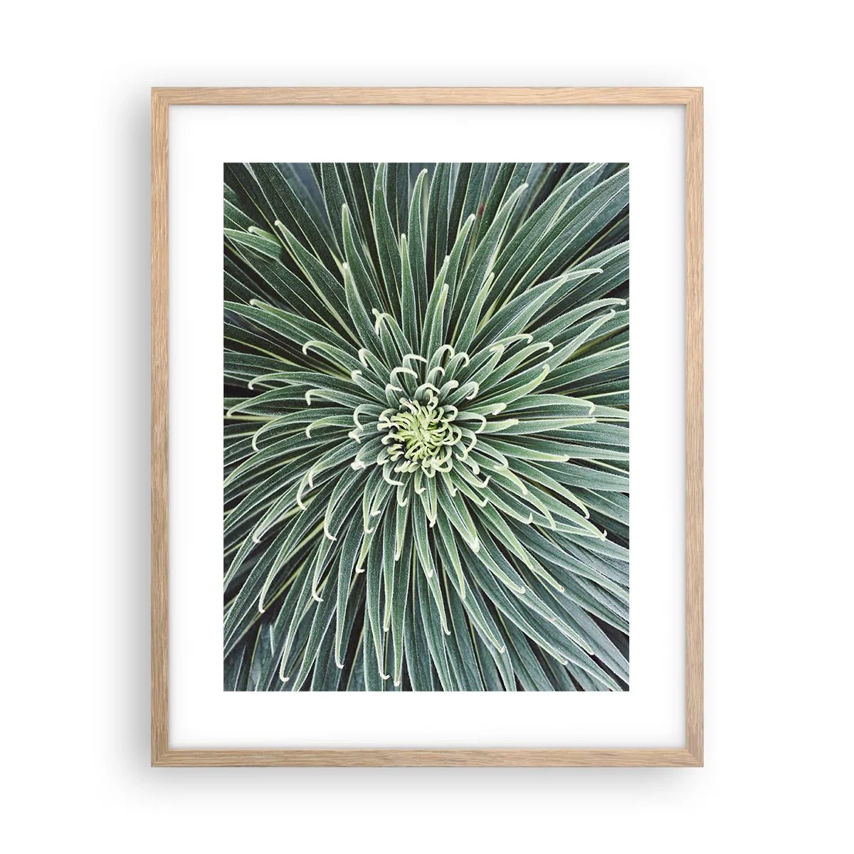 Póster en marco roble claro - El nacimiento de una estrella - 40x50 cm