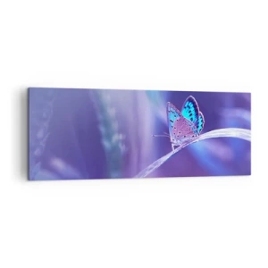 Cuadro sobre lienzo - Impresión de Imagen - Una delicada mariposa azul sobre un tallo en luz violeta. - 140x50cm - Una joya de la naturaleza - Decoración de pared moderna para salón y dormitorio ARTTOR