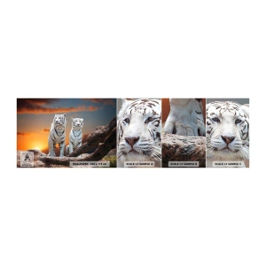 Muestra de fotomural autoadhesivo Deluxe Sticker - Como en Narnia - animales, Tigre, Atardecer - 100x30 cm