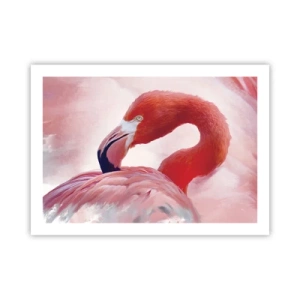 Póster - La belleza de las aves - 70x50 cm