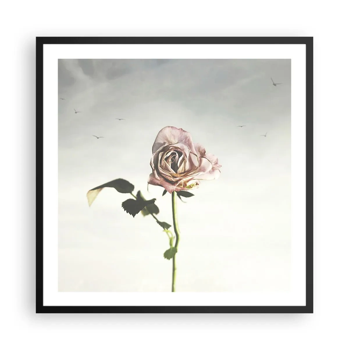 Póster en marco negro - Bienvenida a la primavera - 60x60 cm