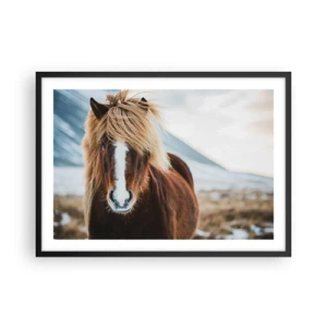 Póster en marco negro - Caballo islandés frente a un paisaje montañoso - 70x50cm - ¿Puedes sentir la libertad? - Decoración de pared moderna para salón y dormitorio ARTTOR