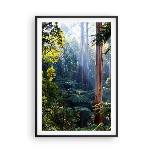 Póster en marco negro - Un cuento de hadas del bosque - 61x91 cm