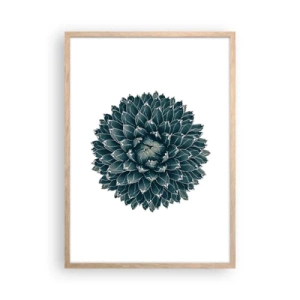 Póster en marco roble claro - Estrella del desierto - 50x70 cm