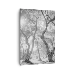 Cuadro sobre lienzo - Impresión de Imagen - Vista en blanco y negro de árboles en un olivar con rayos de sol. - 70x100cm - En un olivar - Decoración de pared moderna para salón y dormitorio ARTTOR