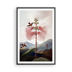 Póster en marco negro - En un paraíso tropical - 61x91 cm