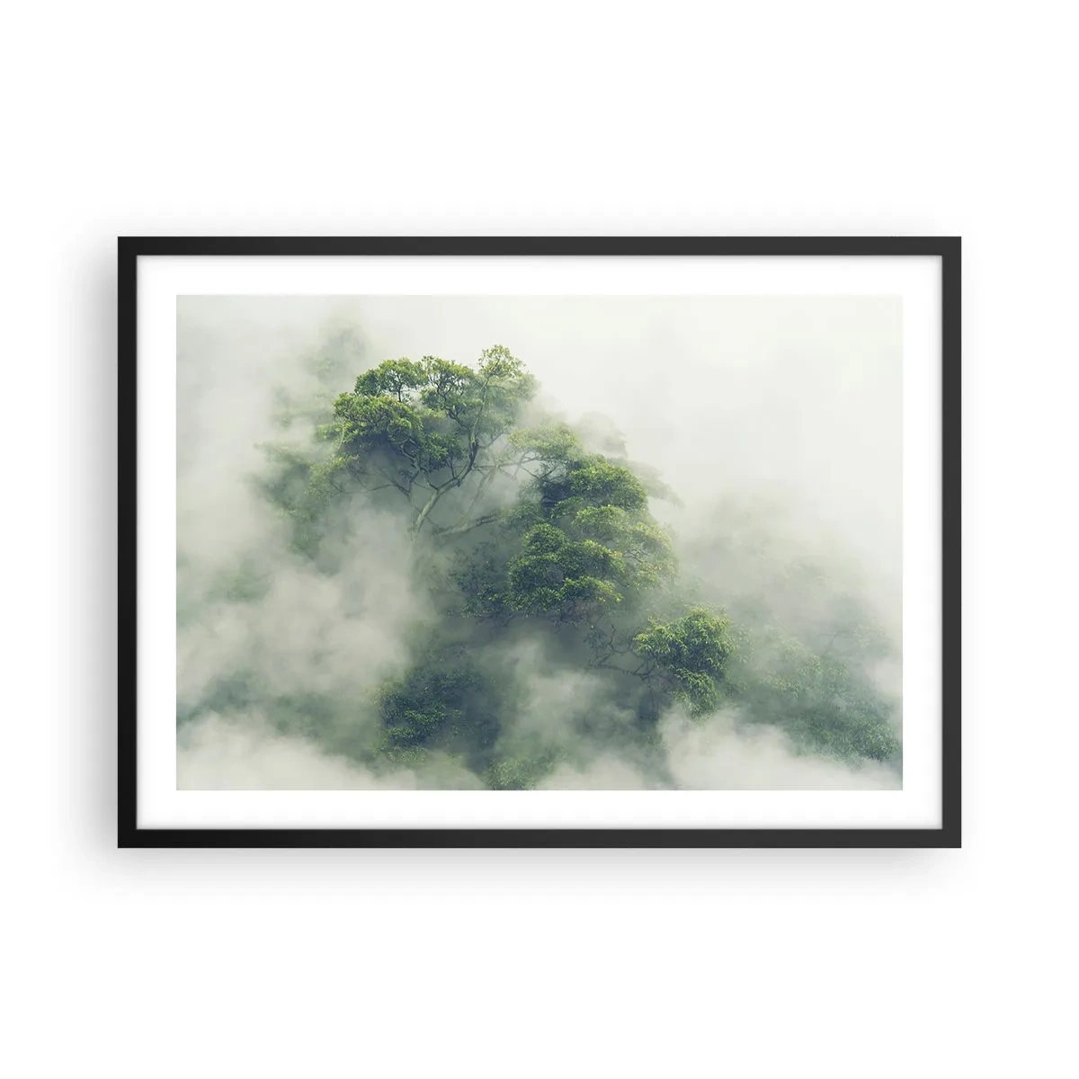 Póster en marco negro - Árboles verdes en una espesa niebla contra un fondo natural - 70x50cm - Envuelto en niebla - Decoración de pared moderna para salón y dormitorio ARTTOR