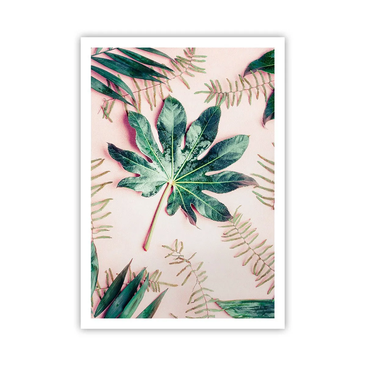 Póster - Estudio de vegetación sobre fondo rosa - 70x100 cm