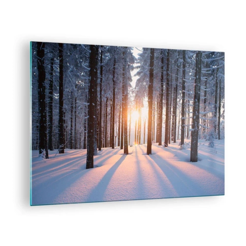 Cuadro sobre vidrio - Impresiones sobre Vidrio - Bosque invernal con rayos de sol brillando a través de los árboles. - 70x50cm - Claramente en blanco y negro - Decoración de pared moderna para salón y dormitorio ARTTOR