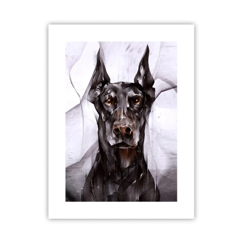 Póster - Nacido noble - 30x40 cm