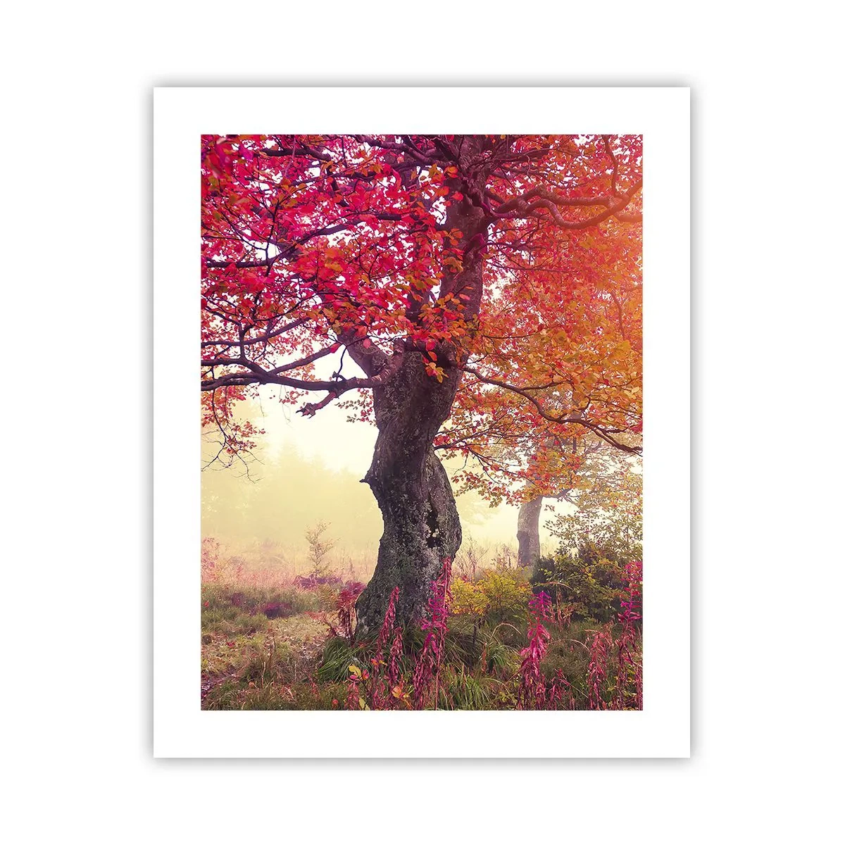 Póster - Un frenesí de floración - 40x50 cm