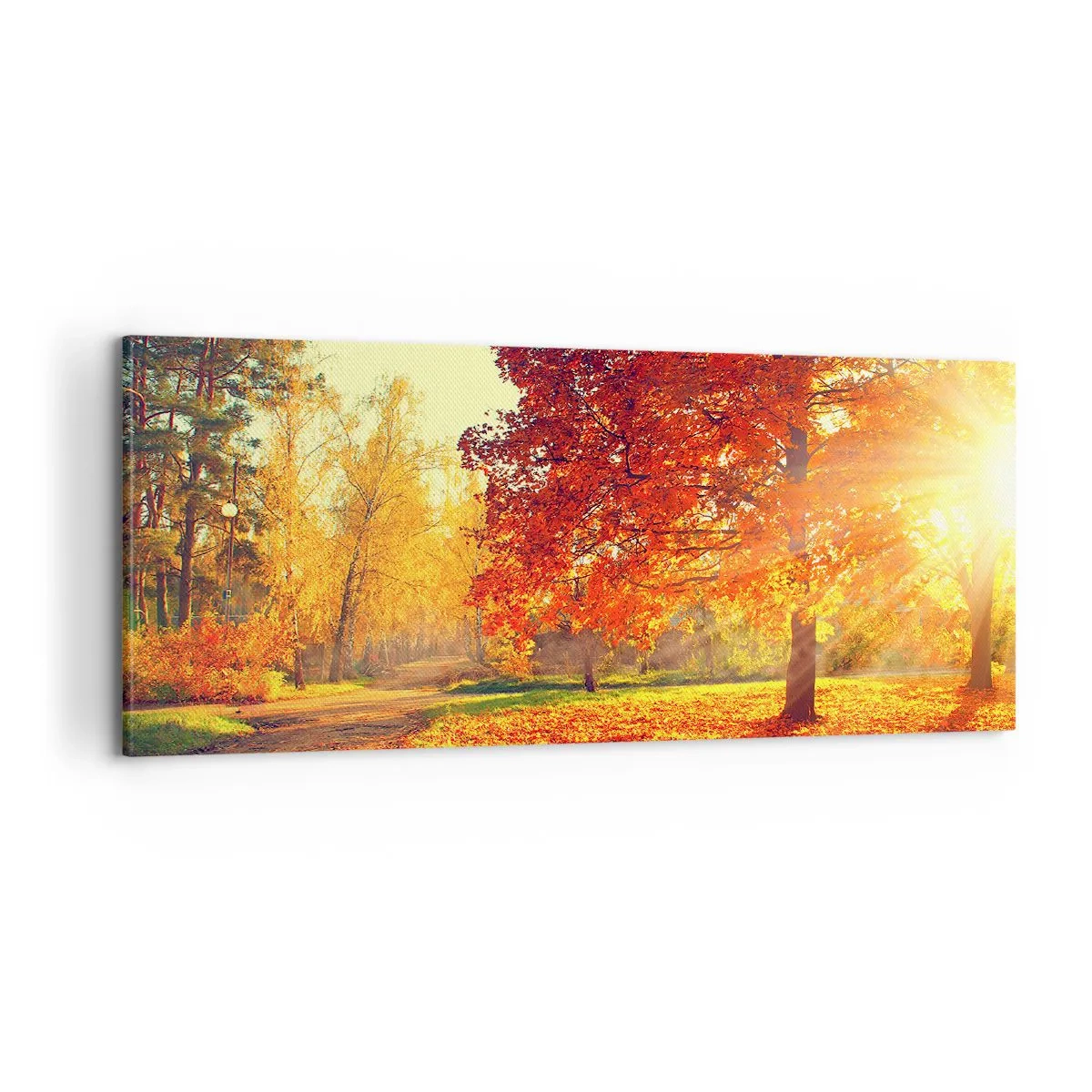 Cuadro sobre lienzo - Impresión de Imagen - El rojo es hermoso - 100x40 cm