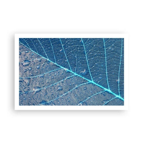 Póster - Vida en el azul - 91x61 cm