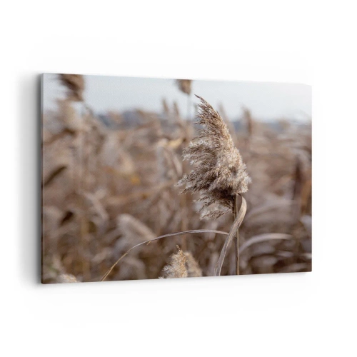 Cuadro sobre lienzo - Impresión de Imagen - Delicadas hierbas en tonos beige sobre el fondo de la naturaleza. - 120x80cm - Es hora de volar con el viento - Decoración de pared moderna para salón y dormitorio ARTTOR