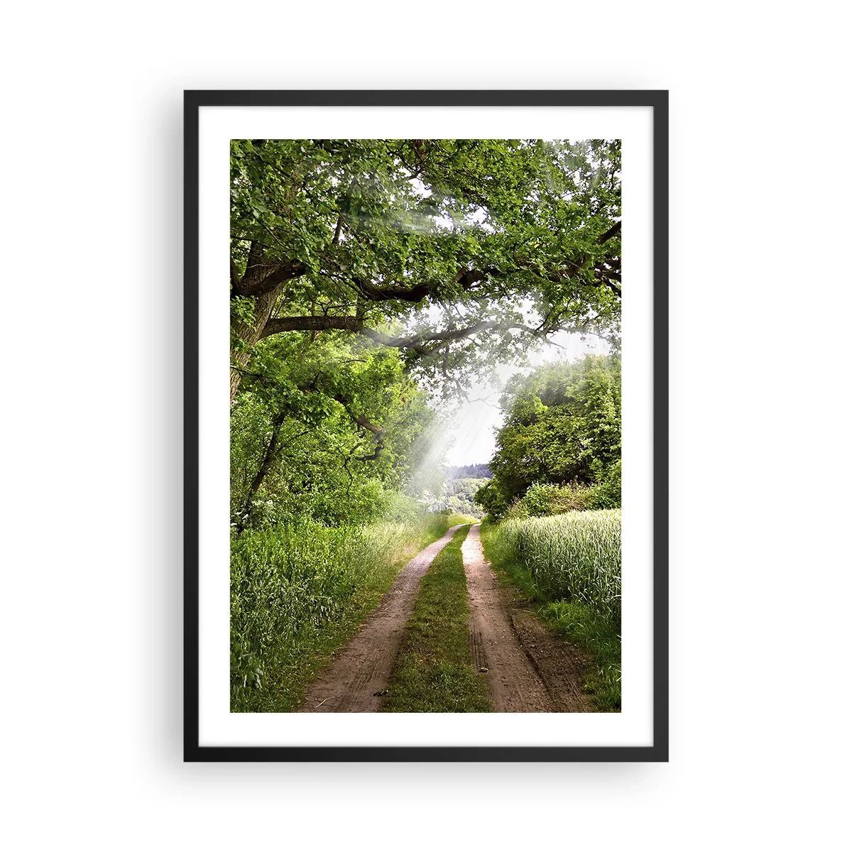 Póster en marco negro - Un camino de tierra sombreado y rodeado de exuberantes árboles verdes y prados. - 50x70cm - Ensueño - Decoración de pared moderna para salón y dormitorio ARTTOR