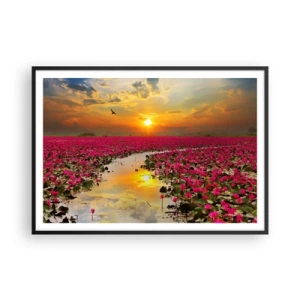 Póster en marco negro - Un campo de nenúfares rosados al atardecer. - 100x70cm - La vida secreta del lago - Decoración de pared moderna para salón y dormitorio ARTTOR