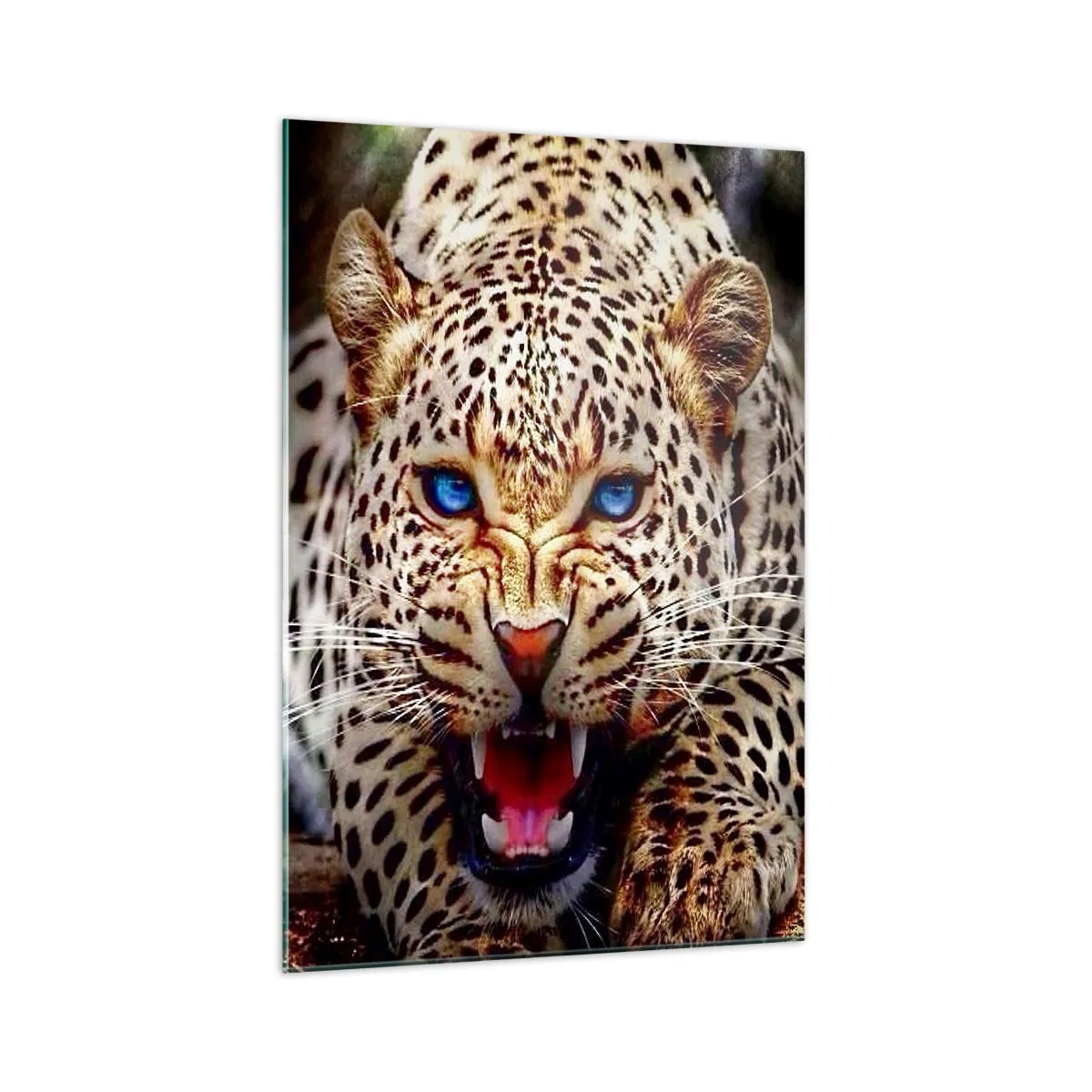 Cuadro sobre vidrio - Impresiones sobre Vidrio - Un leopardo amenazante con intensos ojos azules. - 70x100cm - La ira no daña la belleza - Decoración de pared moderna para salón y dormitorio ARTTOR