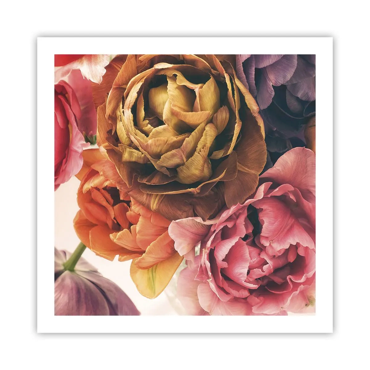 Póster - Celebración de la vida - 60x60 cm