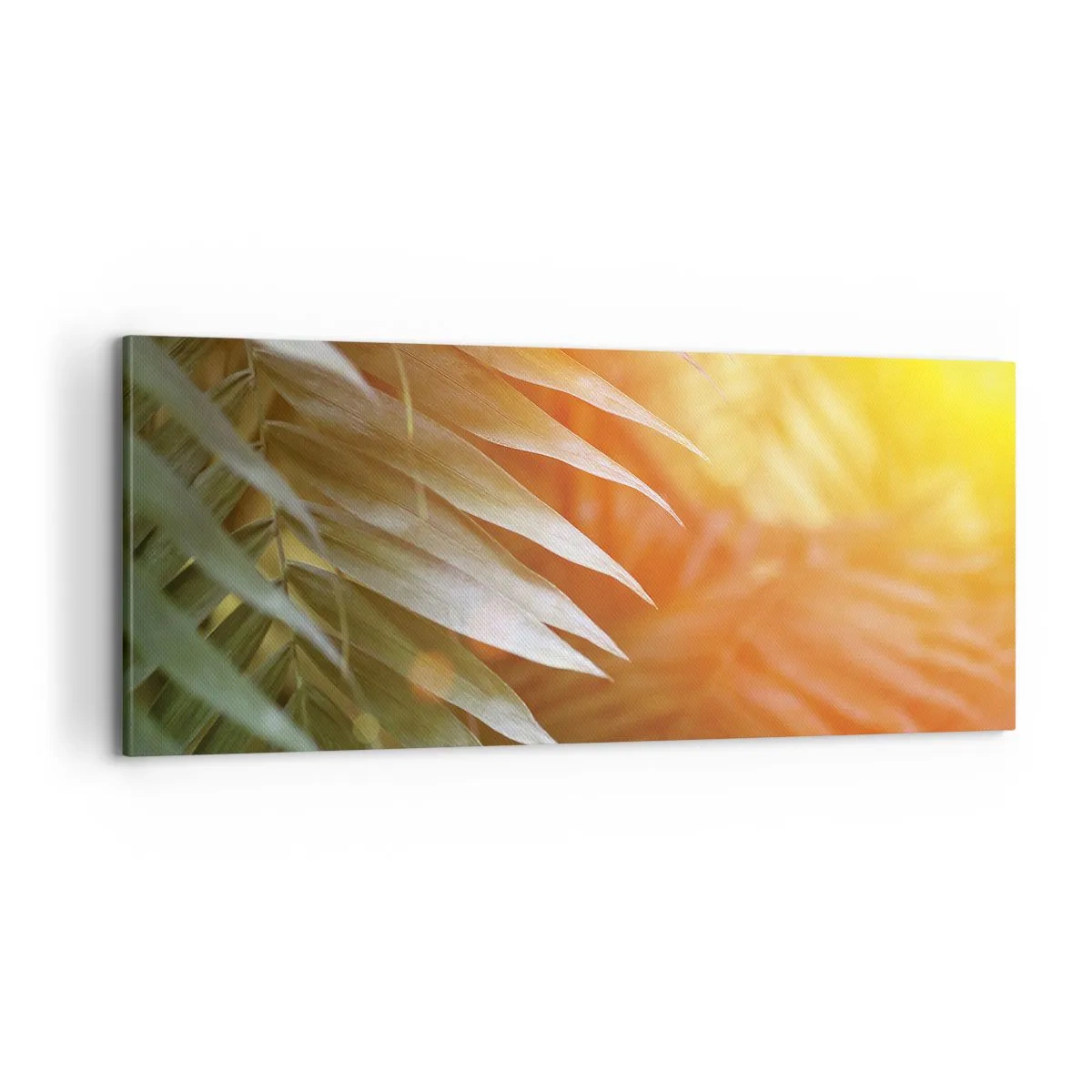 Cuadro sobre lienzo - Impresión de Imagen - Mañana en la selva - 100x40 cm