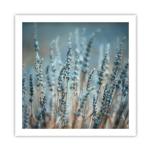 Póster - Fragante pasto - 60x60 cm