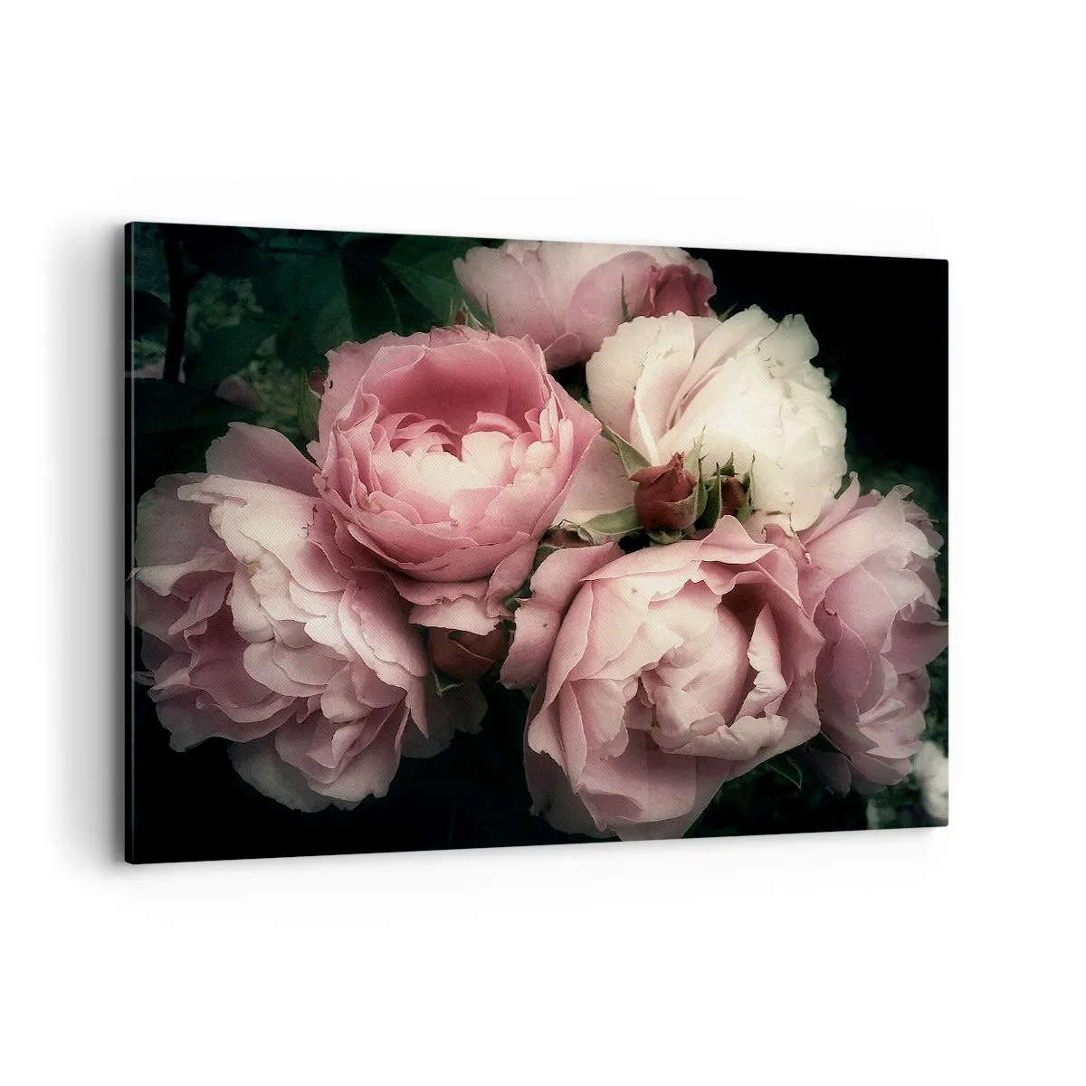 Cuadro sobre lienzo - Impresión de Imagen - Un ramo de rosas en delicados tonos rosa y blanco. - 120x80cm - El encanto de la belle époque - Decoración de pared moderna para salón y dormitorio ARTTOR