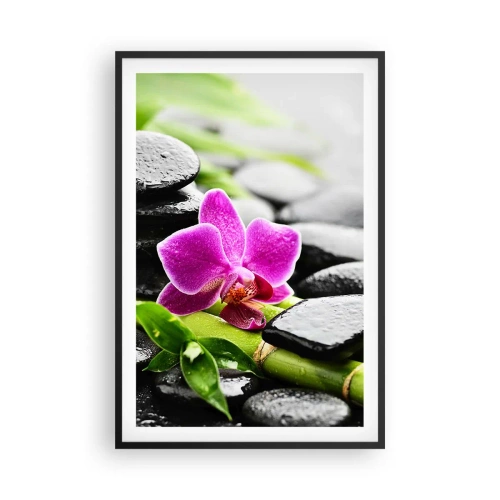 Póster en marco negro - En equilibrio pacífico - 61x91 cm