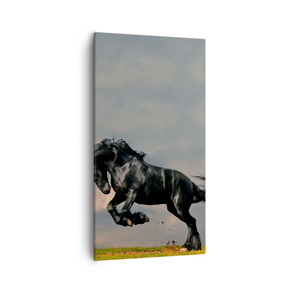 Cuadro sobre lienzo - Impresión de Imagen - Hermoso y libre - 55x100 cm