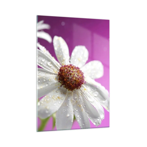 Cuadro sobre vidrio - Impresiones sobre Vidrio - Fotografía macro de una flor blanca con gotas de rocío sobre un fondo rosa. - 50x70cm - Modesto en su belleza - Decoración de pared moderna para salón y dormitorio ARTTOR
