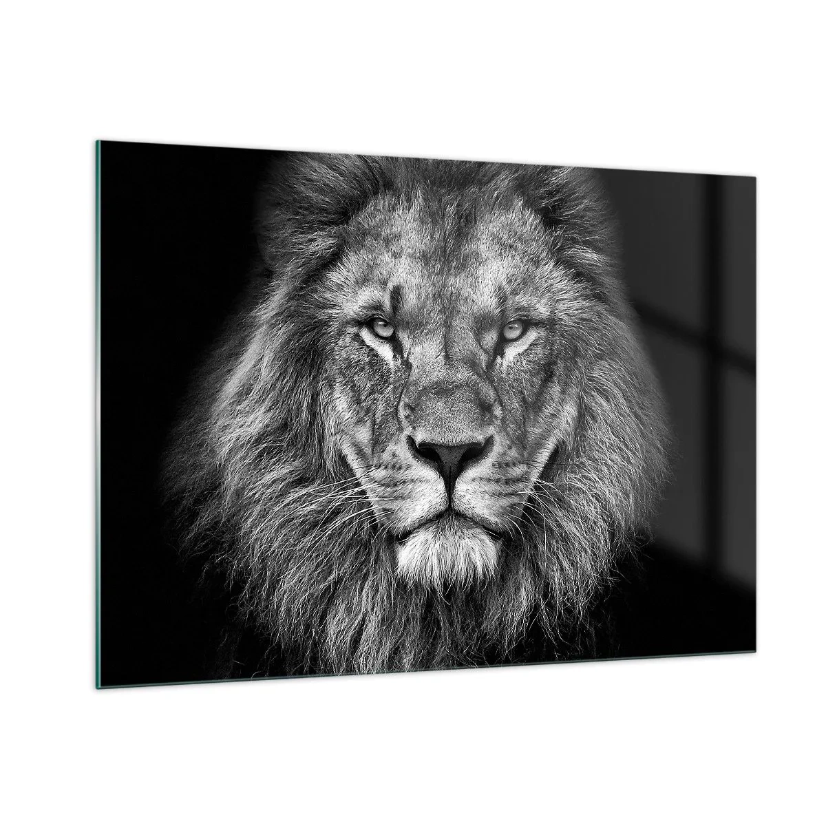 Cuadro sobre vidrio - Impresiones sobre Vidrio - Retrato de un león en blanco y negro con una melena majestuosa - 100x70cm - Con el atuendo de la coronación - Decoración de pared moderna para salón y dormitorio ARTTOR
